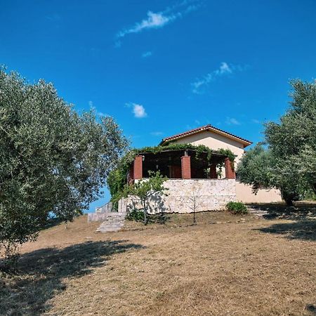 Villa Aiolos 亚历山德鲁波利斯 外观 照片