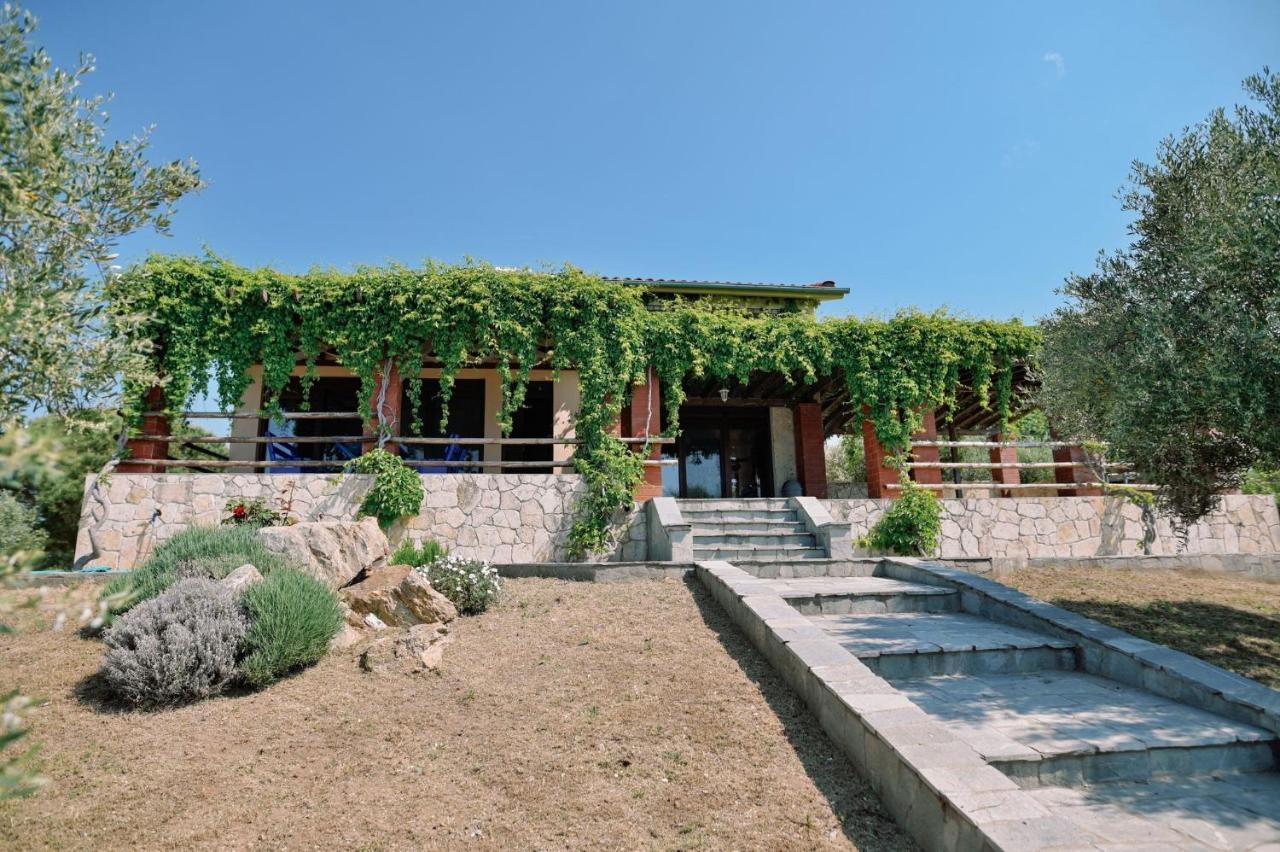 Villa Aiolos 亚历山德鲁波利斯 外观 照片